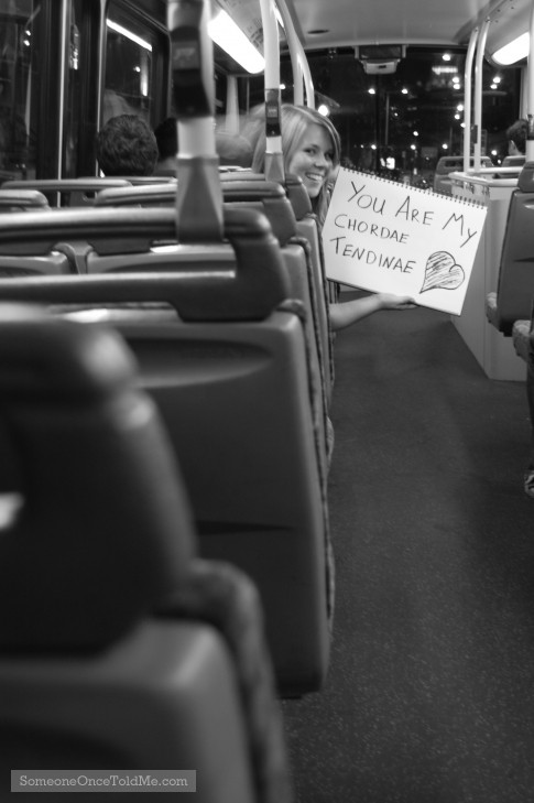 You Are My Chordae Tendinae